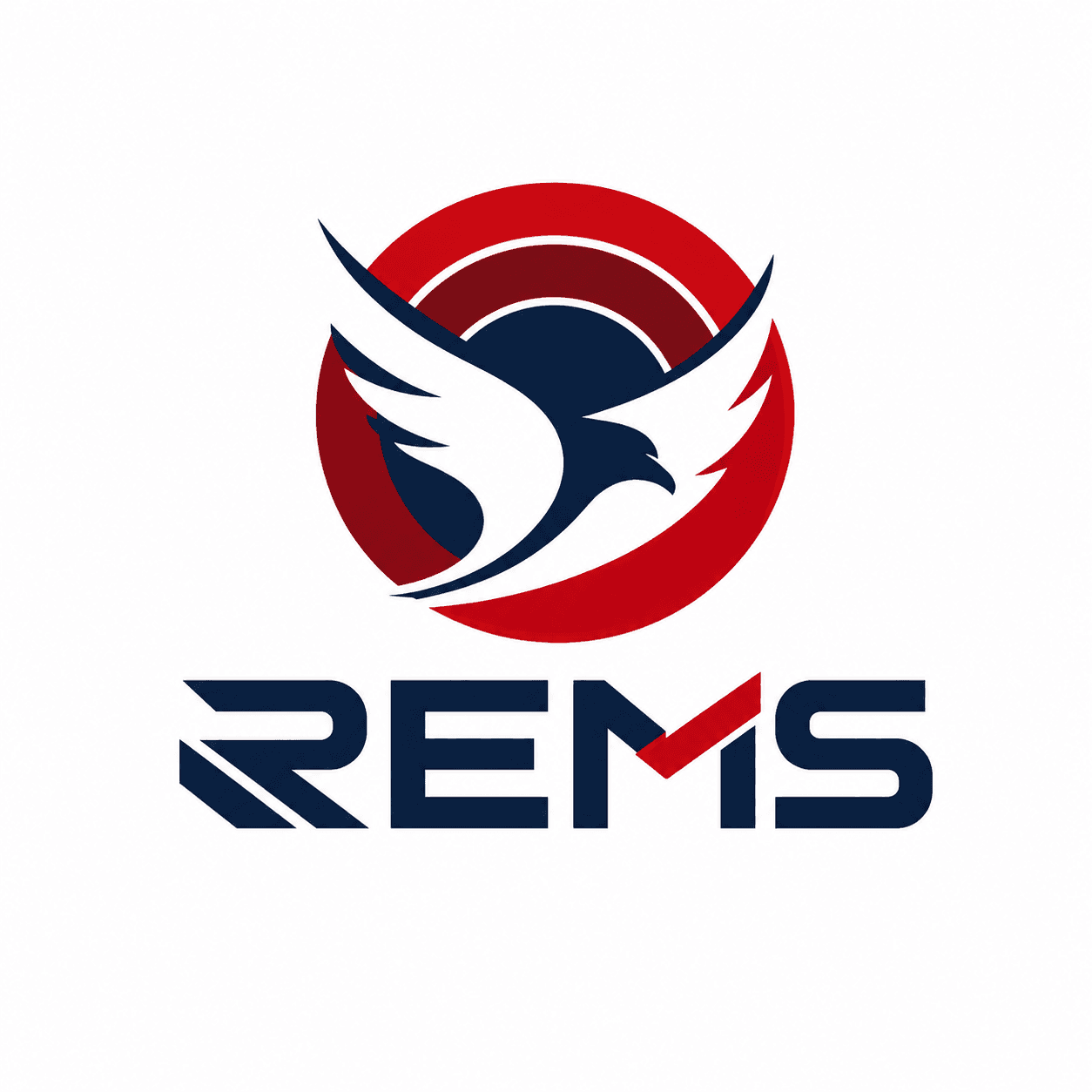 Rems Lojistik logosu